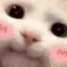 Emoji 05_SweetSins_Cat_Blush2