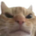 Emoji 05_SweetSins_Cat_Angry