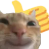 Emoji 05_SweetSins_Cat_ThumbUp