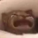 Emoji 05_SweetSins_Cat_WAAAH