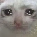Emoji 05_SweetSins_Cat_Cry