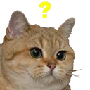 Emoji 05_SweetSins_Cat_Confuse
