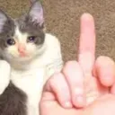 Emoji 05_SweetSins_Cat_Fu