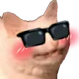 Emoji 05_SweetSins_Cat_Cool