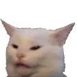 Emoji 05_SweetSins_Cat_Confused