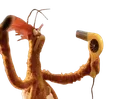 Emoji titisocoquette