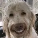 Emoji dawg1