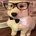 Emoji dawg2