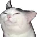 Emoji emoji_167