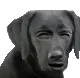 Emoji hiendog