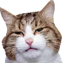 Emoji emoji_17