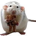Emoji ratdoudou