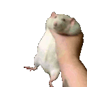 Emoji emoji_47