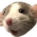 Emoji rat