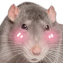 Emoji ratquirougis
