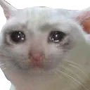 Emoji sadcat