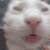 Emoji wtama_bugga