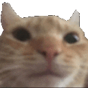 Emoji wtama_crunch