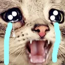 Emoji tama_5catcry