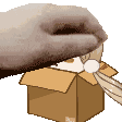 Emoji Alice_pat_box