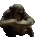 Emoji emoji_370