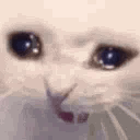 Emoji yCatScreamCry