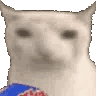 Emoji yCatChips