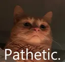 Emoji xCatPathetic