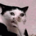 Emoji yCatOMGCry