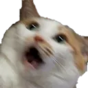 Emoji xCatScream