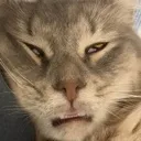Emoji jssbieng