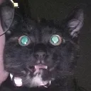 Emoji GRRR