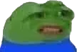 Emoji PR_PepeWhut