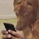 Emoji dog_choqued