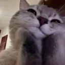 Emoji awwwn