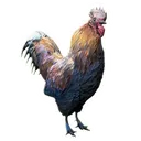 Emoji afscrappy