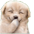 Emoji v04