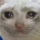 Emoji v12