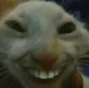 Emoji cat_hehe