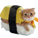 Emoji cat_SUSHI