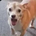 Emoji sparky