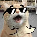 Emoji cat_gotcha67