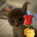 Emoji emoji_160