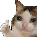 Emoji nahvraimentpardonokay