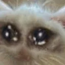 Emoji SadCat