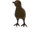 Emoji kiwi