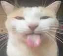 Emoji BLEHHHH