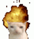 Emoji CatExplosives