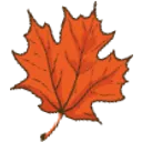 Emoji 8496autumnleaf