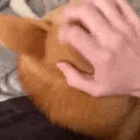 Emoji wtama_helloshiba